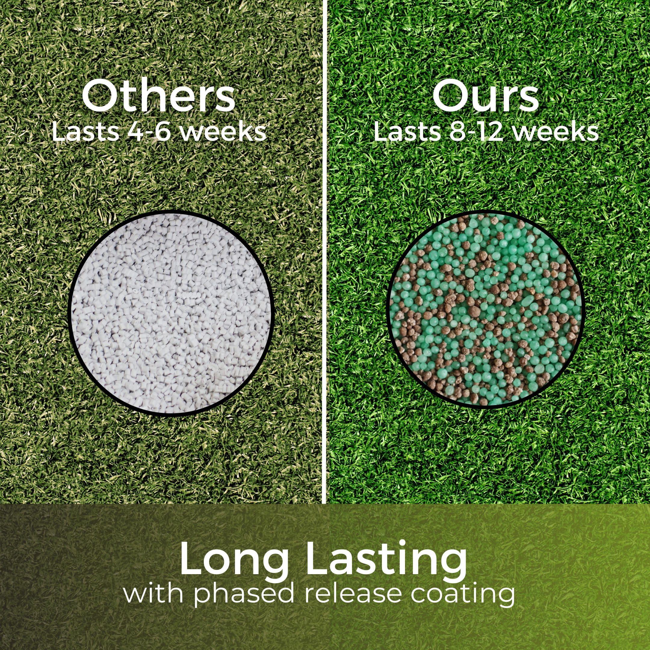 Autumn & Winter Lawn Fertiliser | Pet Safe Grass Feed