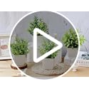 Jolof Store 4-Pack Mini Artificial Potted Plants - Small Faux Greenery