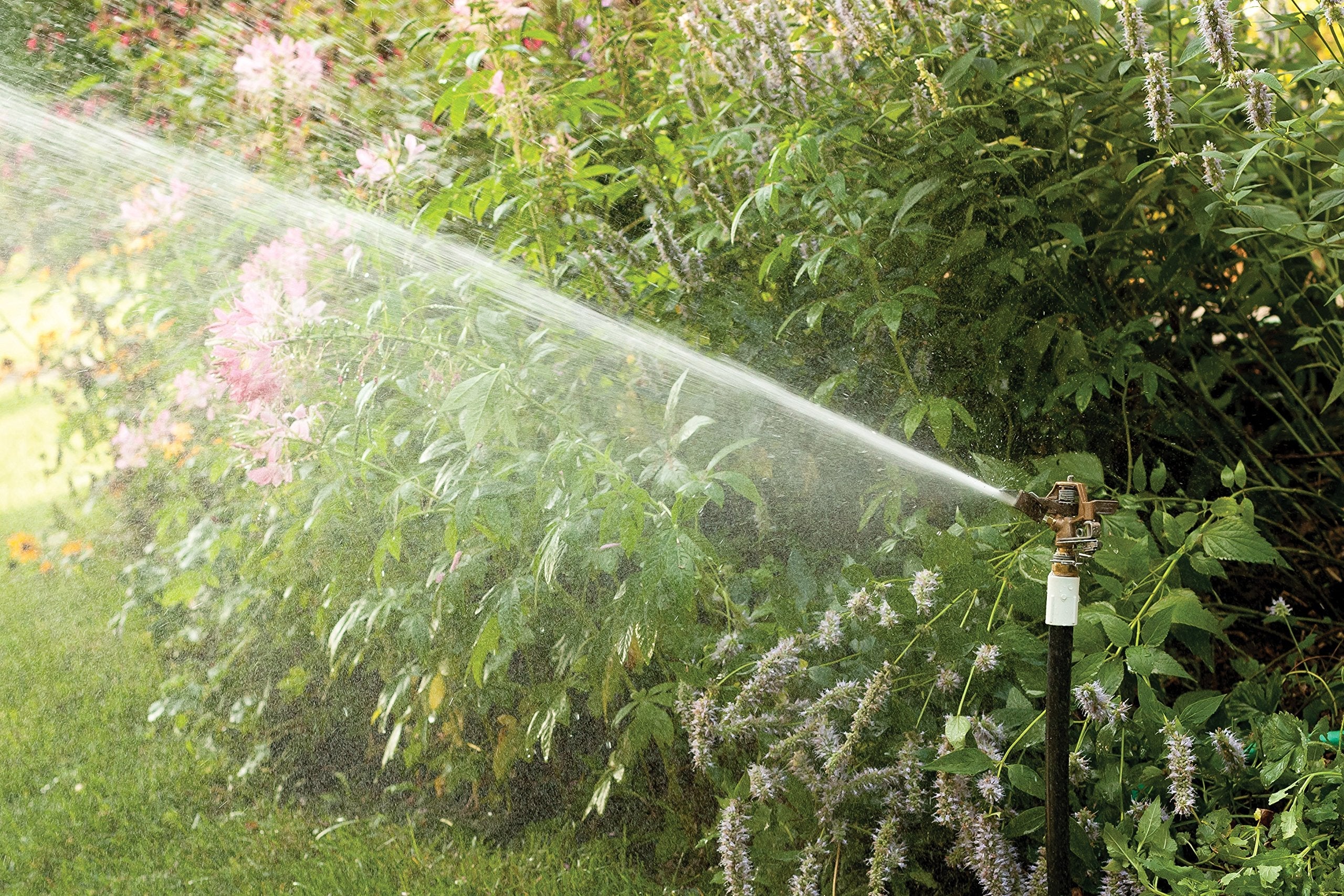 Rain Bird 35ADJTNTB Brass Impact Sprinkler | 23' - 50' Spray Distance