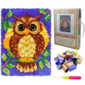TmppDeco Owl Latch Hook Rug Kit for Adults - DIY Beginner Craft 20x15"