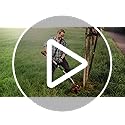Einhell 36V Cordless Grass Trimmer – 30cm Cutting Width | GE-CT 36/30 Li E