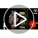 7 Chakra Crystal Tree of Life – 10" Feng Shui Gemstone Bonsai