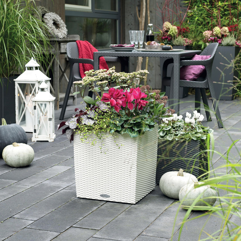 Lechuza CUBE Cottage 30 Self-Watering Planter | Rattan Look - Granite