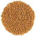 Organic Yellow Mustard Seeds Whole - Spicy Spice - 700g