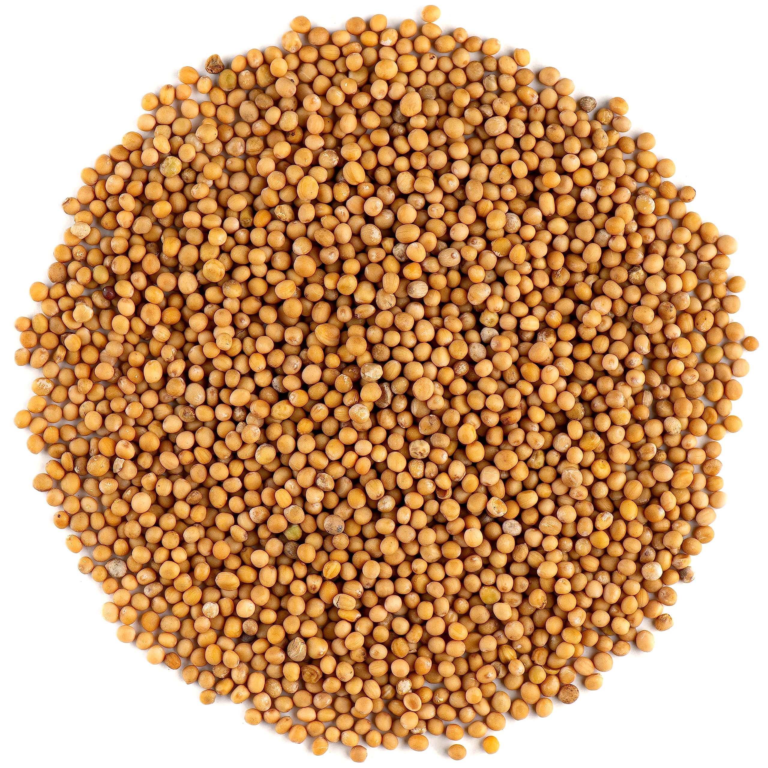 Organic Yellow Mustard Seeds Whole - Spicy Spice - 700g