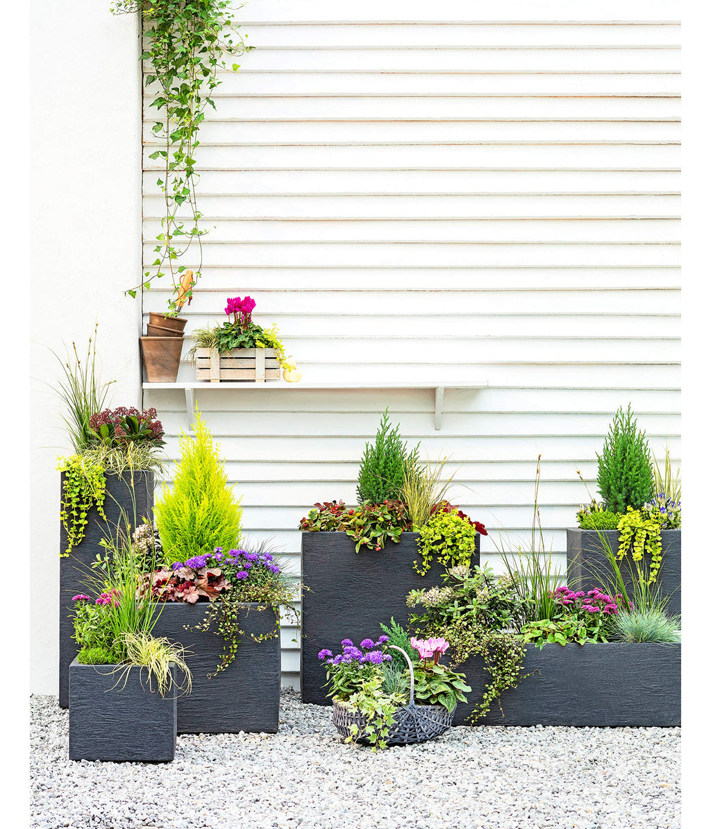 Dehner Palermo Column Plant Pot – Charcoal Grey Slate Effect Plastic