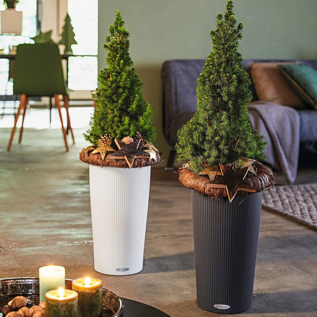 Lechuza Cilindro Color 23 Self-Watering Planter | Slate Plastic Pot
