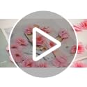 Jolof Store 100PCS Silk Cherry Blossom Flower Heads for DIY Crafts - Pink
