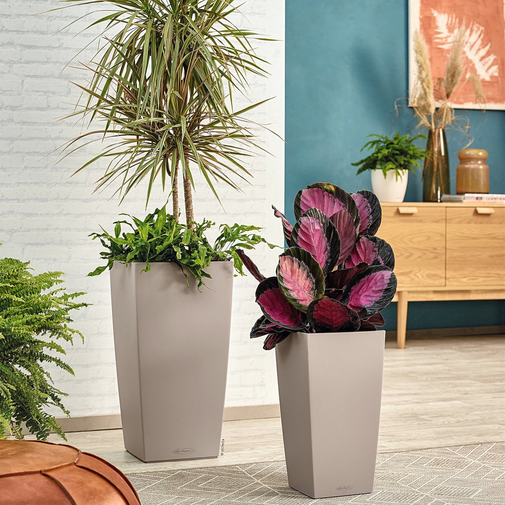 Lechuza CUBICO Color 22 Self-Watering Planter | Sand Brown Poly-Resin