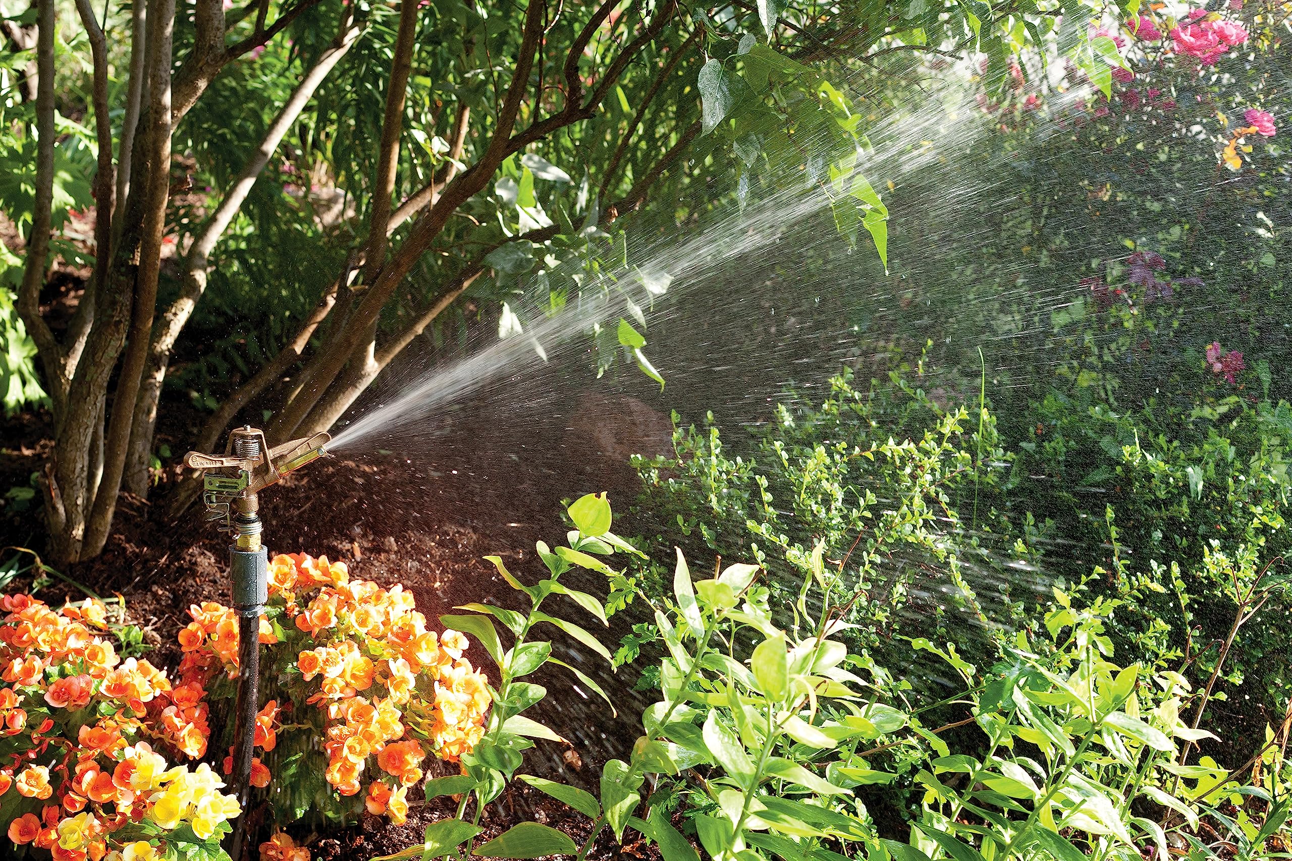 Rain Bird 35ADJTNTB Brass Impact Sprinkler | 23' - 50' Spray Distance