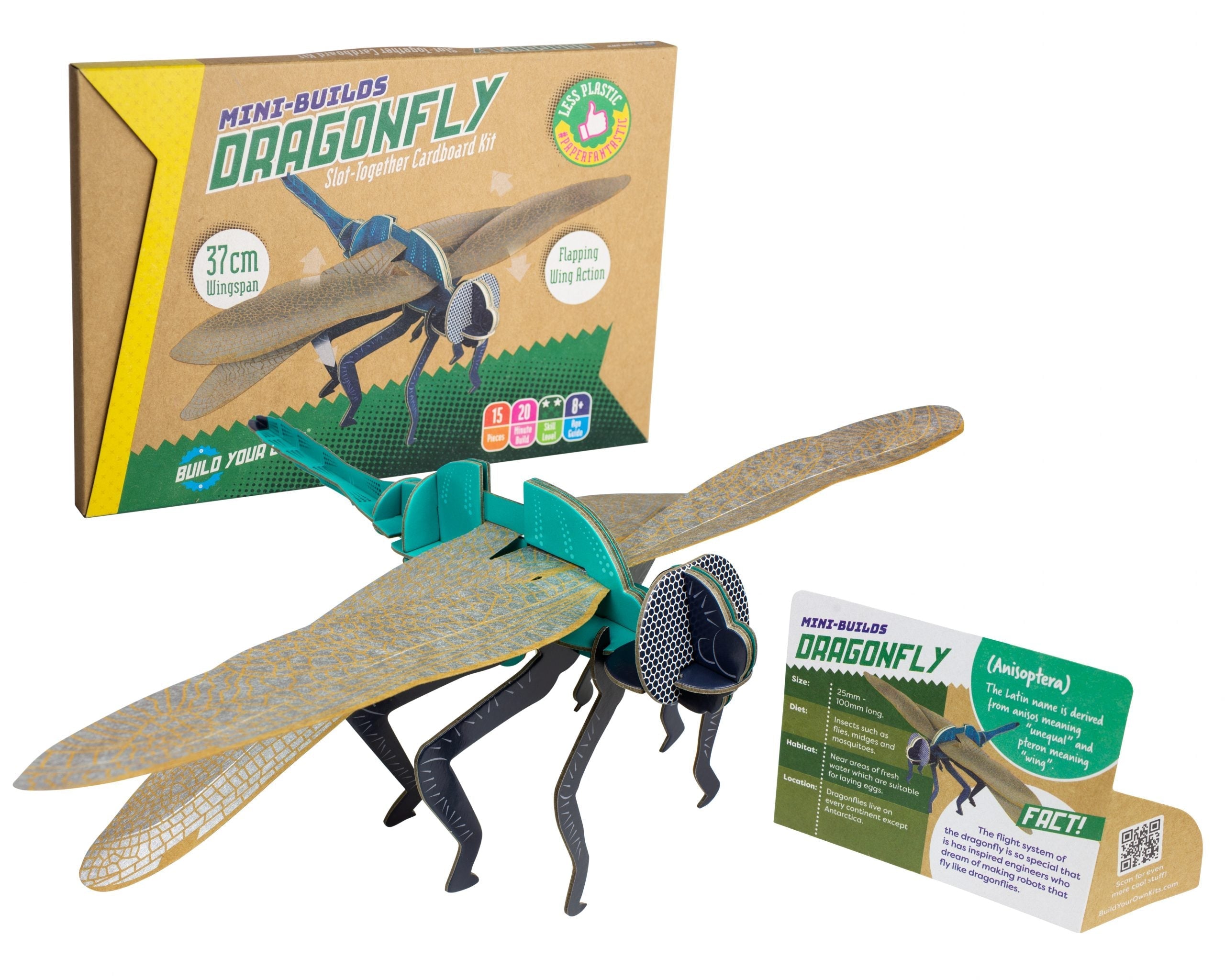 Snaps Dragonfly Build Your Own Kit – Eco-Friendly STEM Cardboard Model
