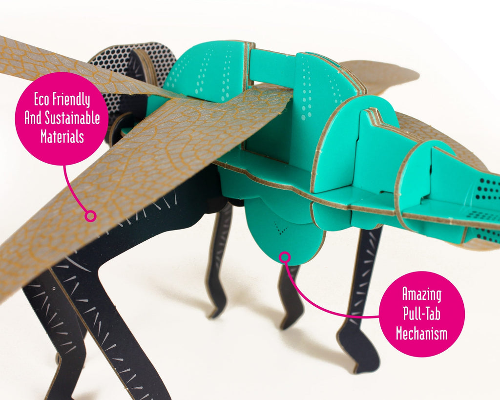 Snaps Dragonfly Build Your Own Kit – Eco-Friendly STEM Cardboard Model