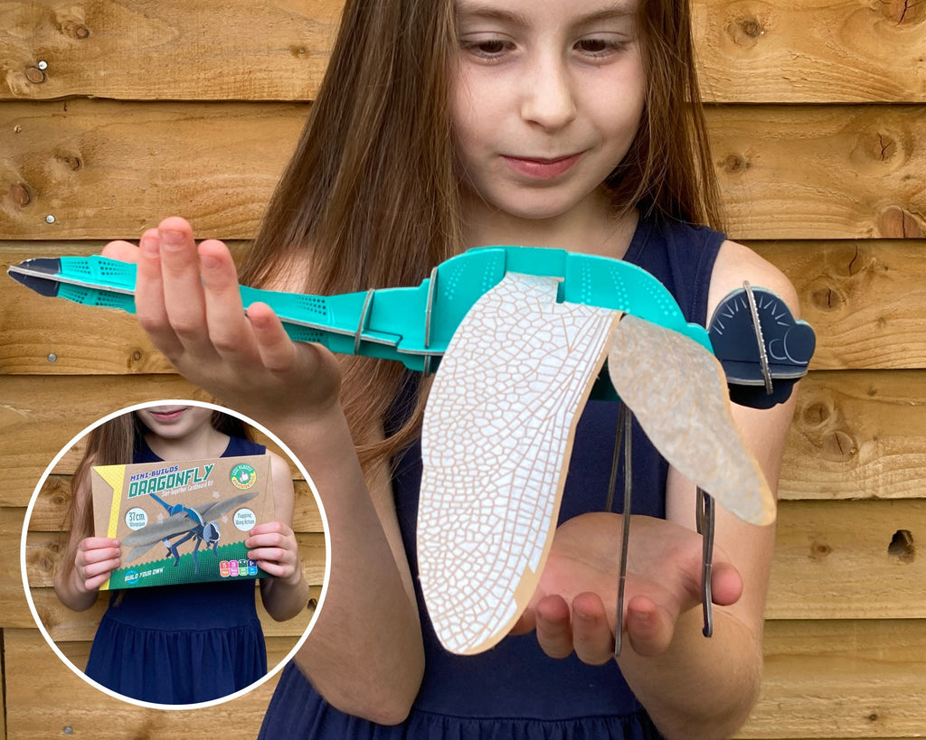 Snaps Dragonfly Build Your Own Kit – Eco-Friendly STEM Cardboard Model