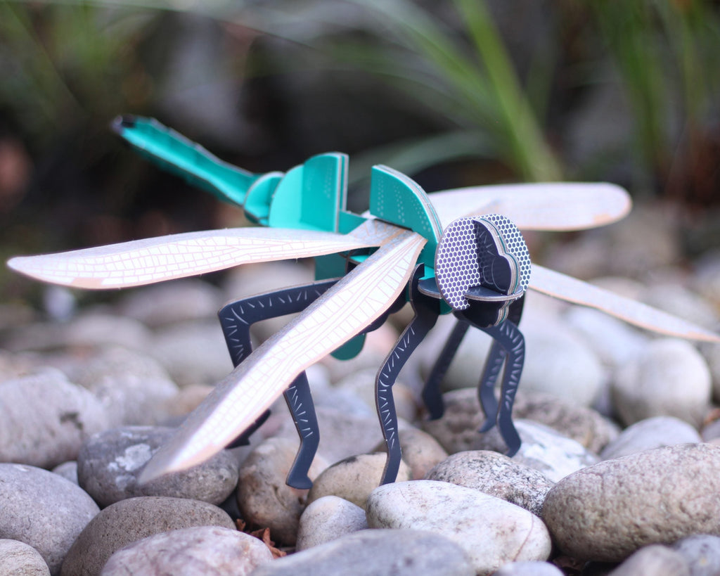 Snaps Dragonfly Build Your Own Kit – Eco-Friendly STEM Cardboard Model