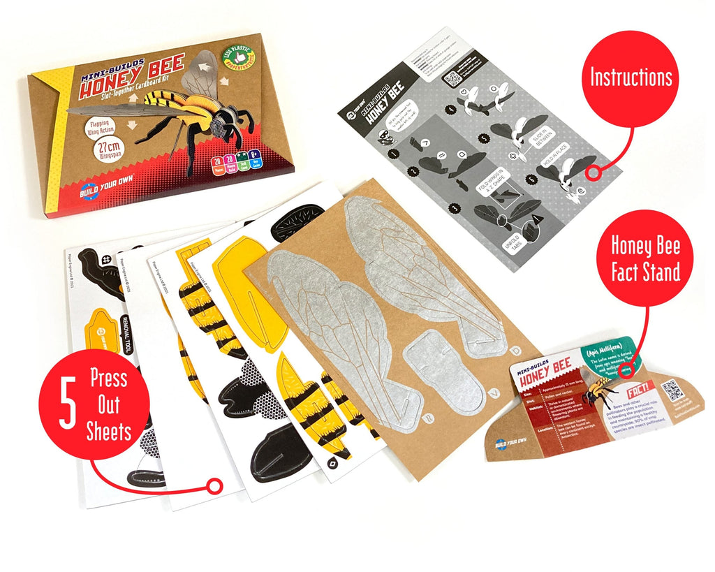 Build Your Own Honey Bee Cardboard STEM Kit – Eco-Friendly Toy by Snaps