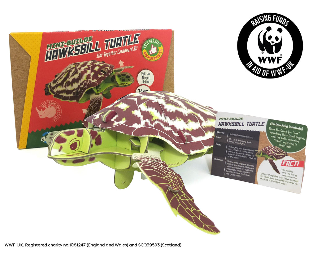 Build Your Own Hawksbill Turtle – Eco-Friendly Cardboard STEM Kit