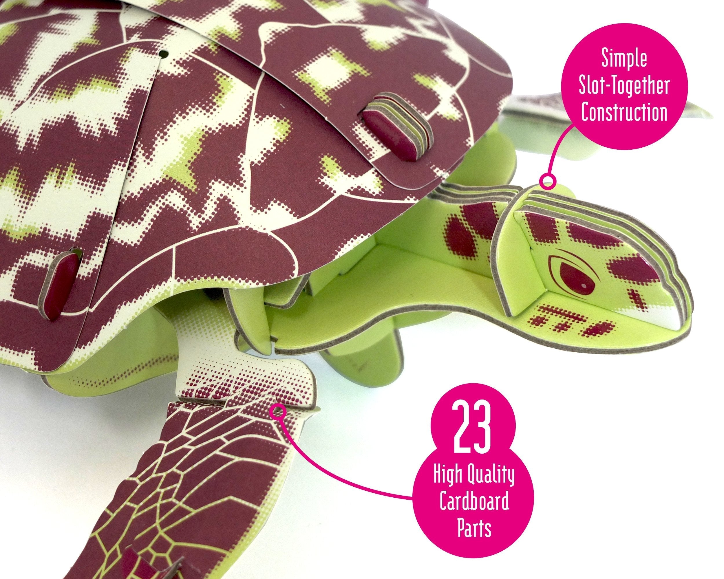Build Your Own Hawksbill Turtle – Eco-Friendly Cardboard STEM Kit