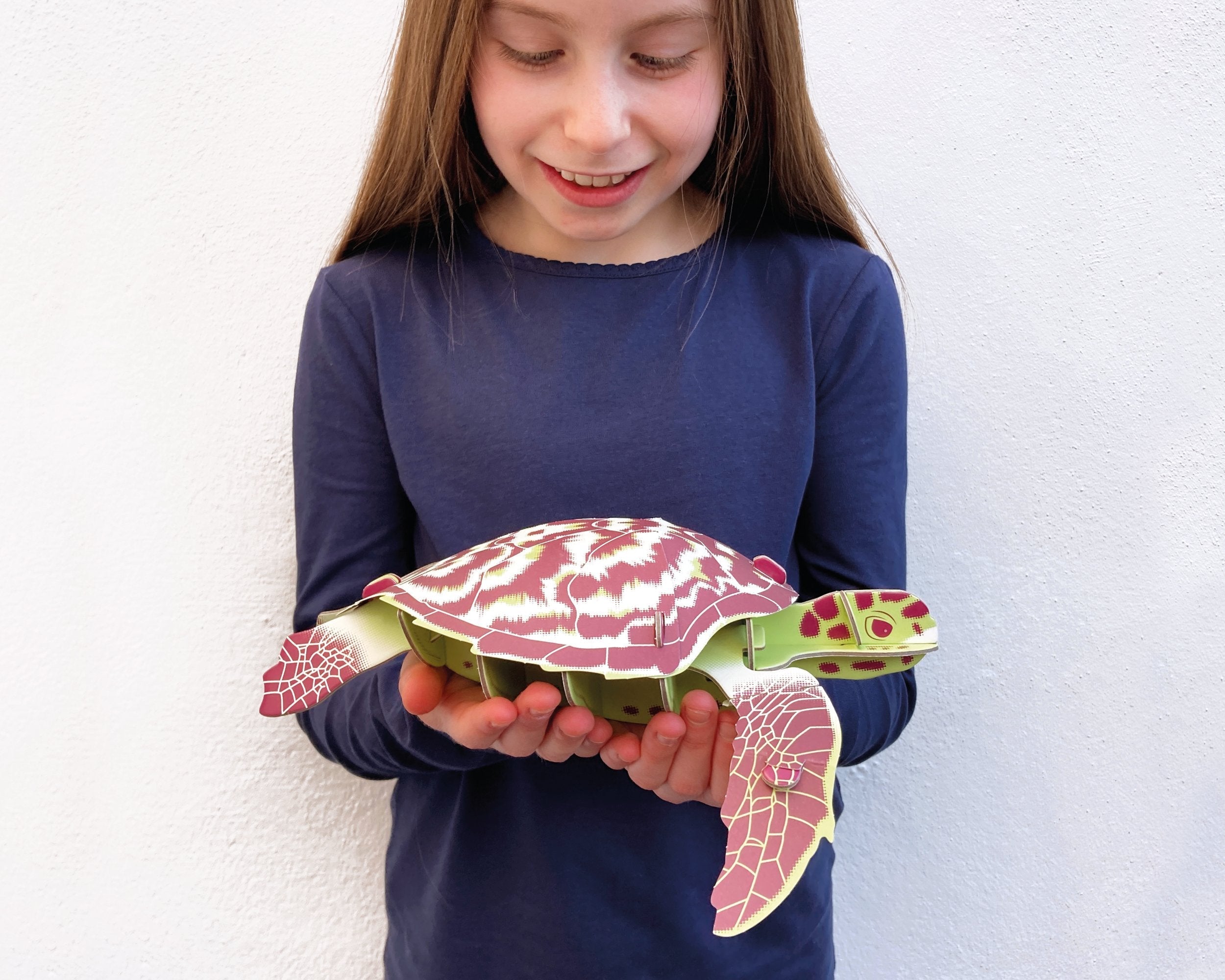 Build Your Own Hawksbill Turtle – Eco-Friendly Cardboard STEM Kit