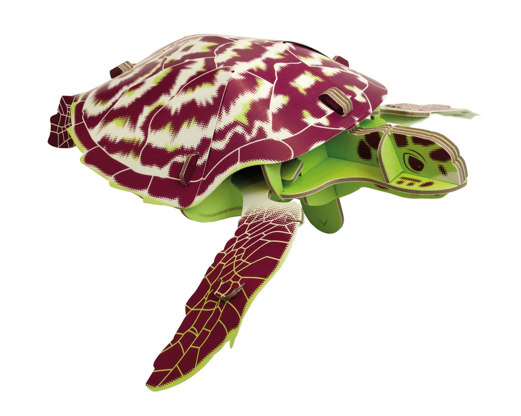 Build Your Own Hawksbill Turtle – Eco-Friendly Cardboard STEM Kit