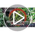 Jolof Store Garden Netting – 2m x 20m Heavy Duty Woven Mesh Bird Netting