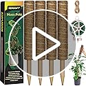 Jolof Store 56 Inch Moss Pole for Monstera | 4 Pcs Coir Totem Pole Set