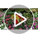 Bagari 41cm Artificial Flowers for Graves | UV Resistant Silk Bouquet