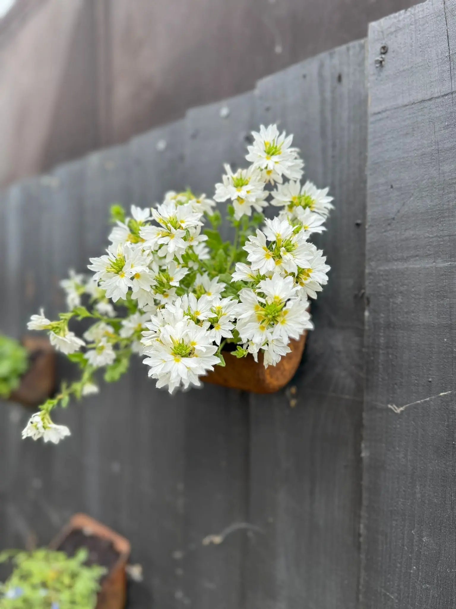 Rustic Warehouse Norfolk | Vintage Metal Wall Mounted Herb Planter