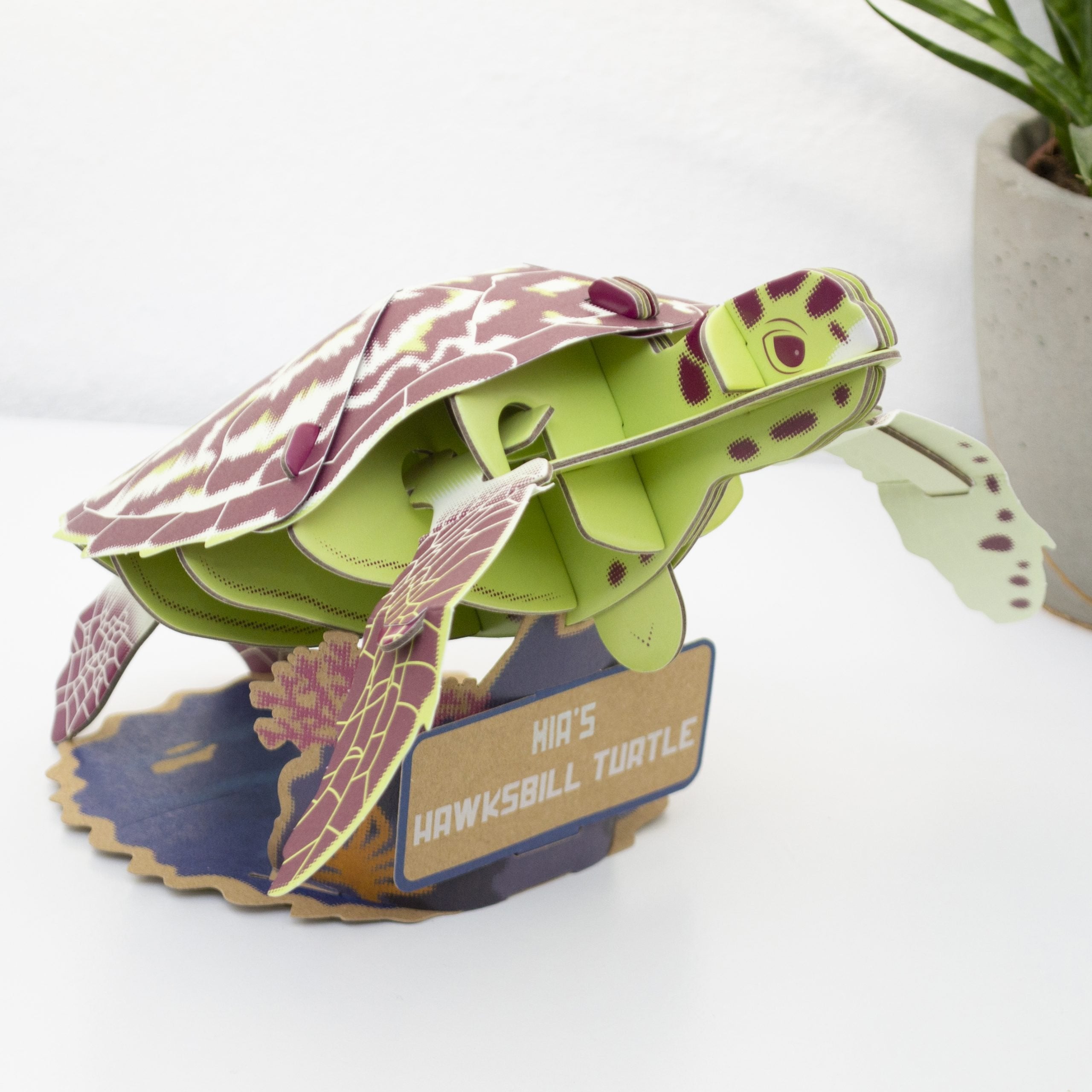 Build Your Own Hawksbill Turtle – Eco-Friendly Cardboard STEM Kit