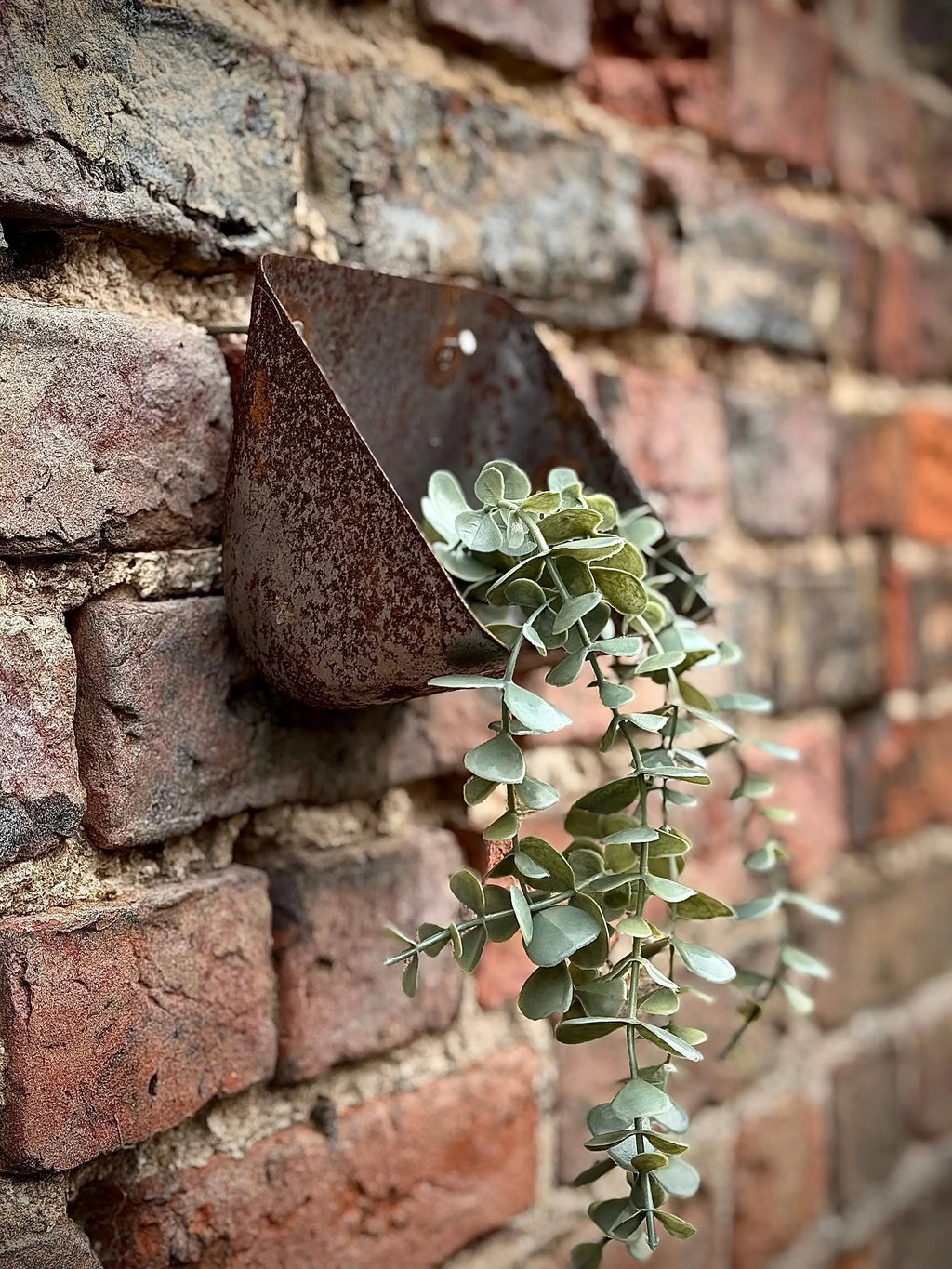 Rustic Warehouse Norfolk Vintage Metal Wall Mounted Planter & Key Holder