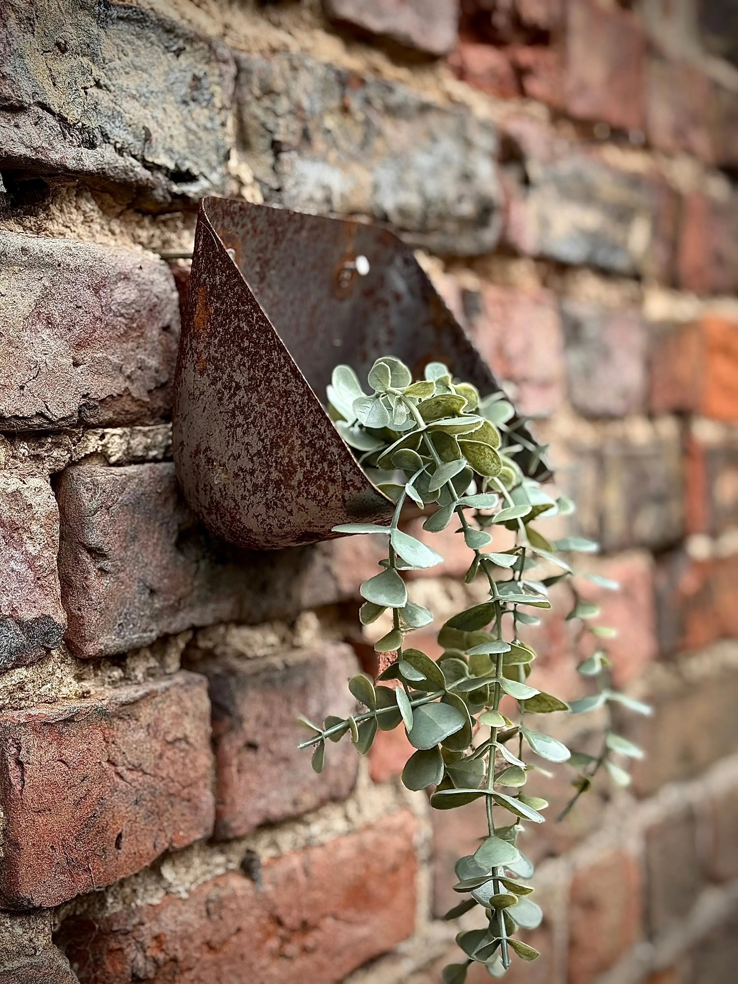 Rustic Warehouse Norfolk Vintage Metal Wall Mounted Planter & Key Holder