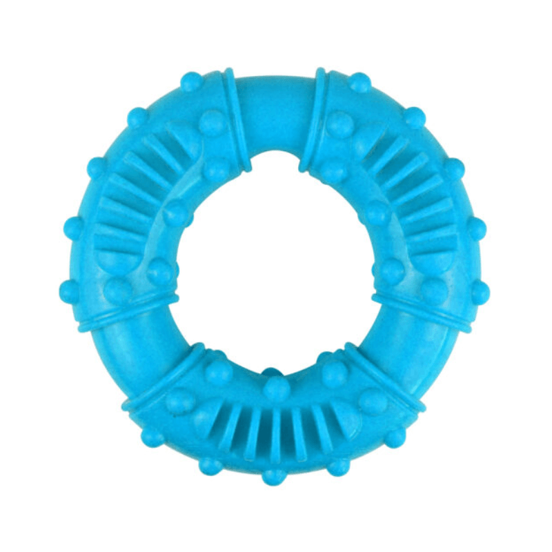 PoundFun Heavy Duty Dog Ring Chew Toy – Durable Hard Material for Pets