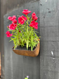 Rustic Warehouse Norfolk Vintage Metal Wall Mounted Planter & Key Holder