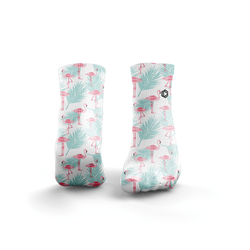 Flamingos