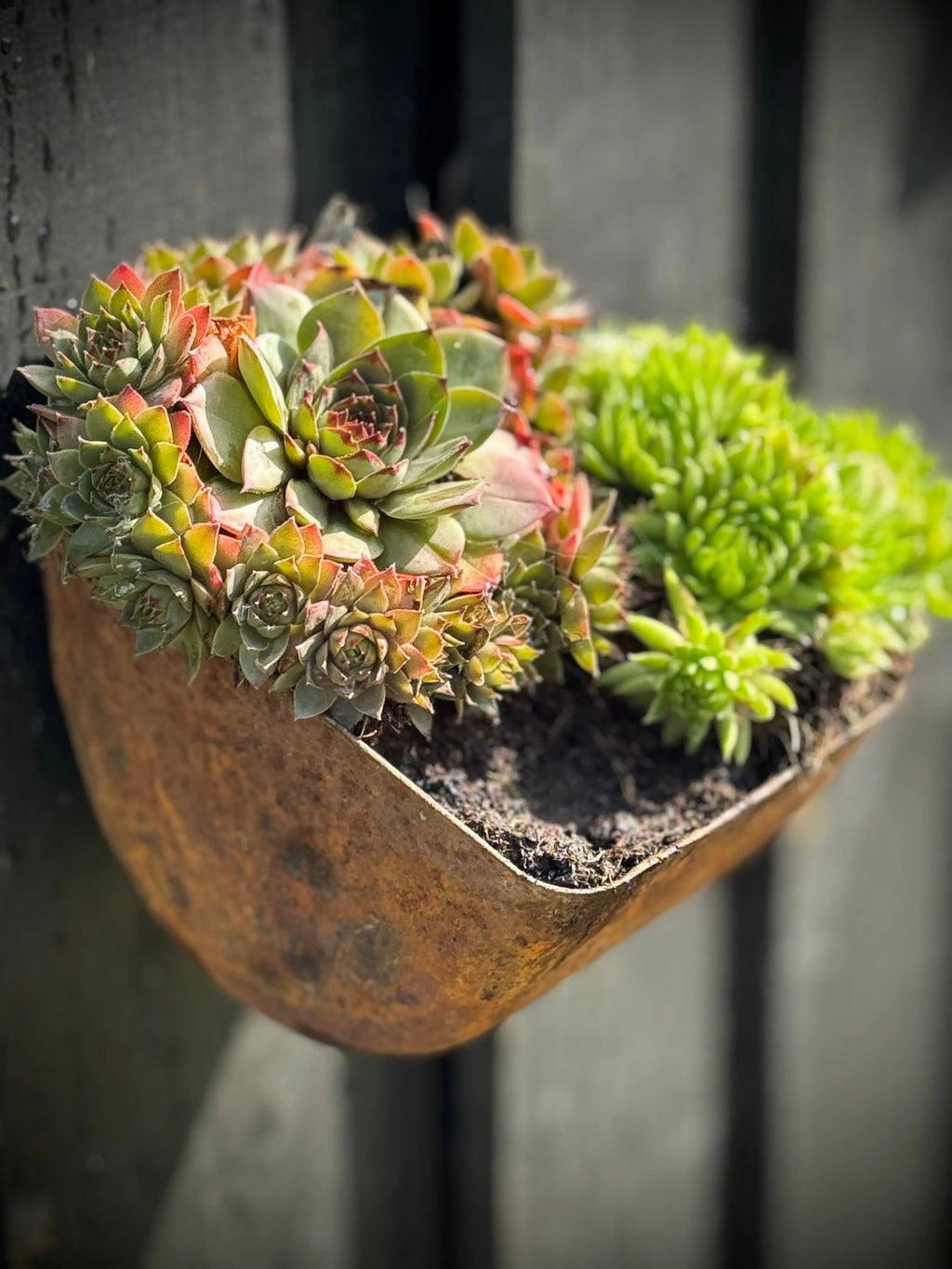 Rustic Warehouse Norfolk | Vintage Industrial Metal Wall Herb Planter