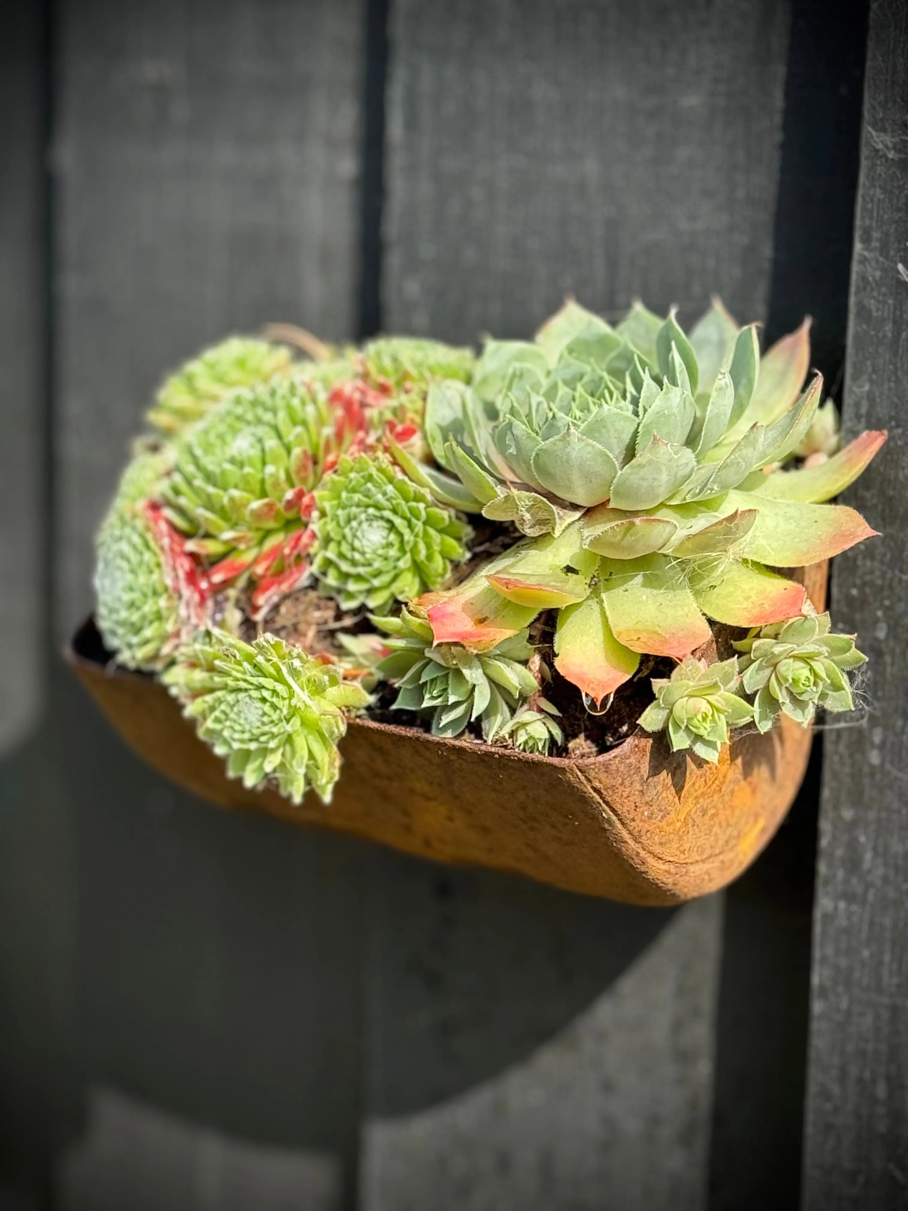 Rustic Warehouse Norfolk | Vintage Industrial Metal Wall Herb Planter