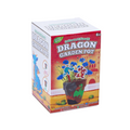 PoundFun Dragon Flower Pot DIY Craft Kit – Paint & Grow Terracotta Planter