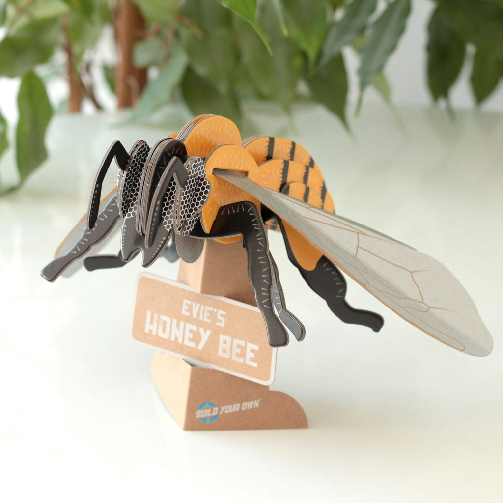 Build Your Own Honey Bee Cardboard STEM Kit – Eco-Friendly Toy by Snaps