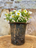 Rustic Warehouse Norfolk Vintage Metal Herb Planter – Small Plant Pot