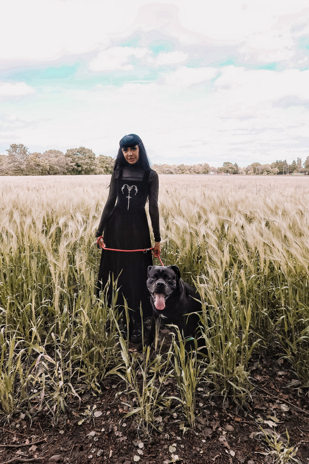 Dark in Love Lux Black Velvet Horn Embroidery Gothic Maxi Dress
