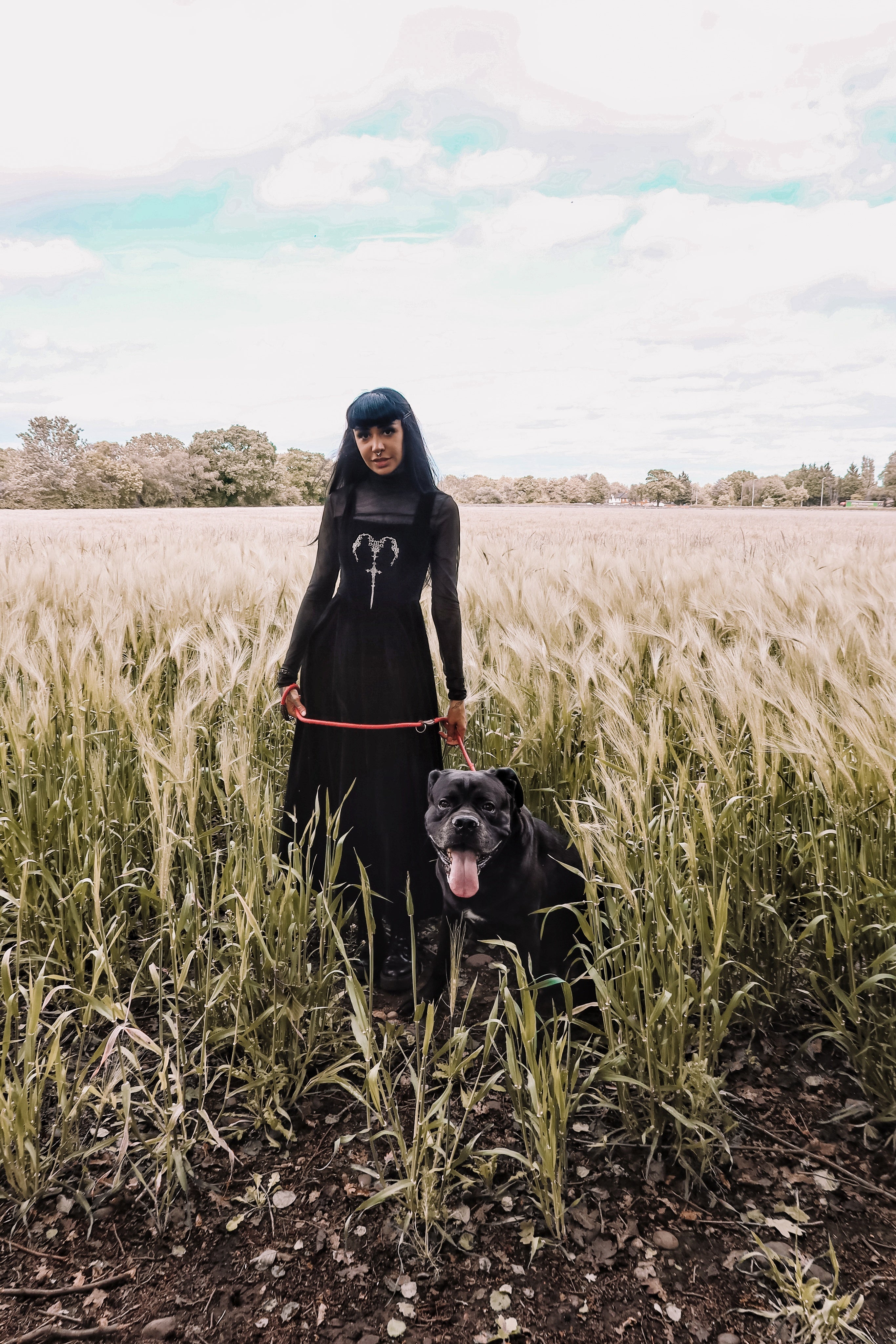 Dark in Love Lux Black Velvet Horn Embroidery Gothic Maxi Dress