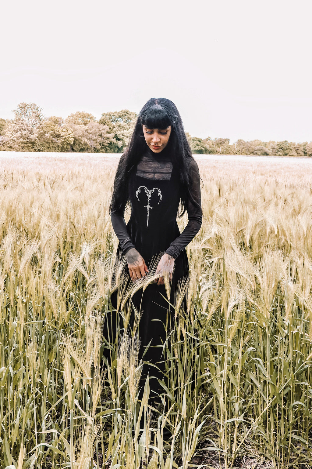 Dark in Love Lux Black Velvet Horn Embroidery Gothic Maxi Dress