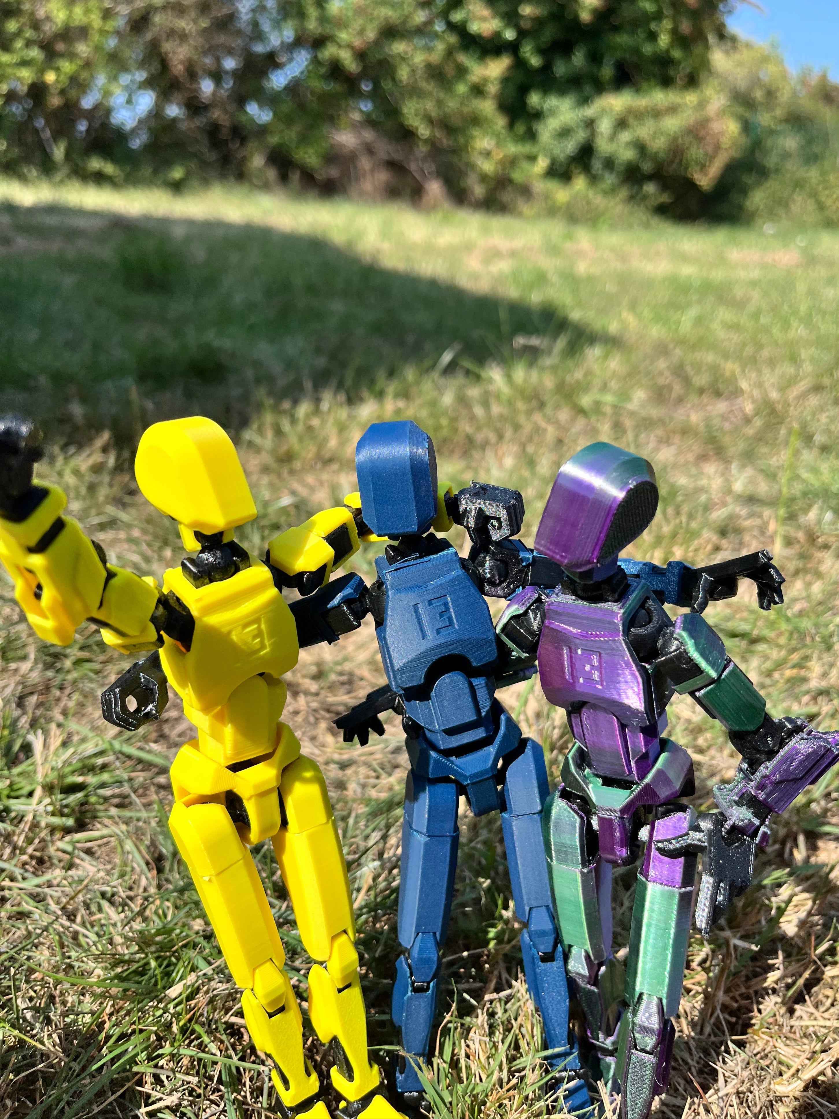 Dummy 13 model - Kit