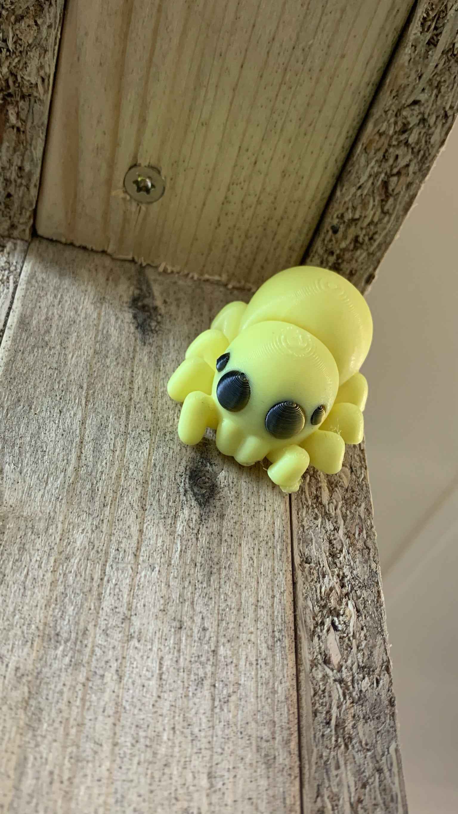 Spider Fidget - Web of cuteness
