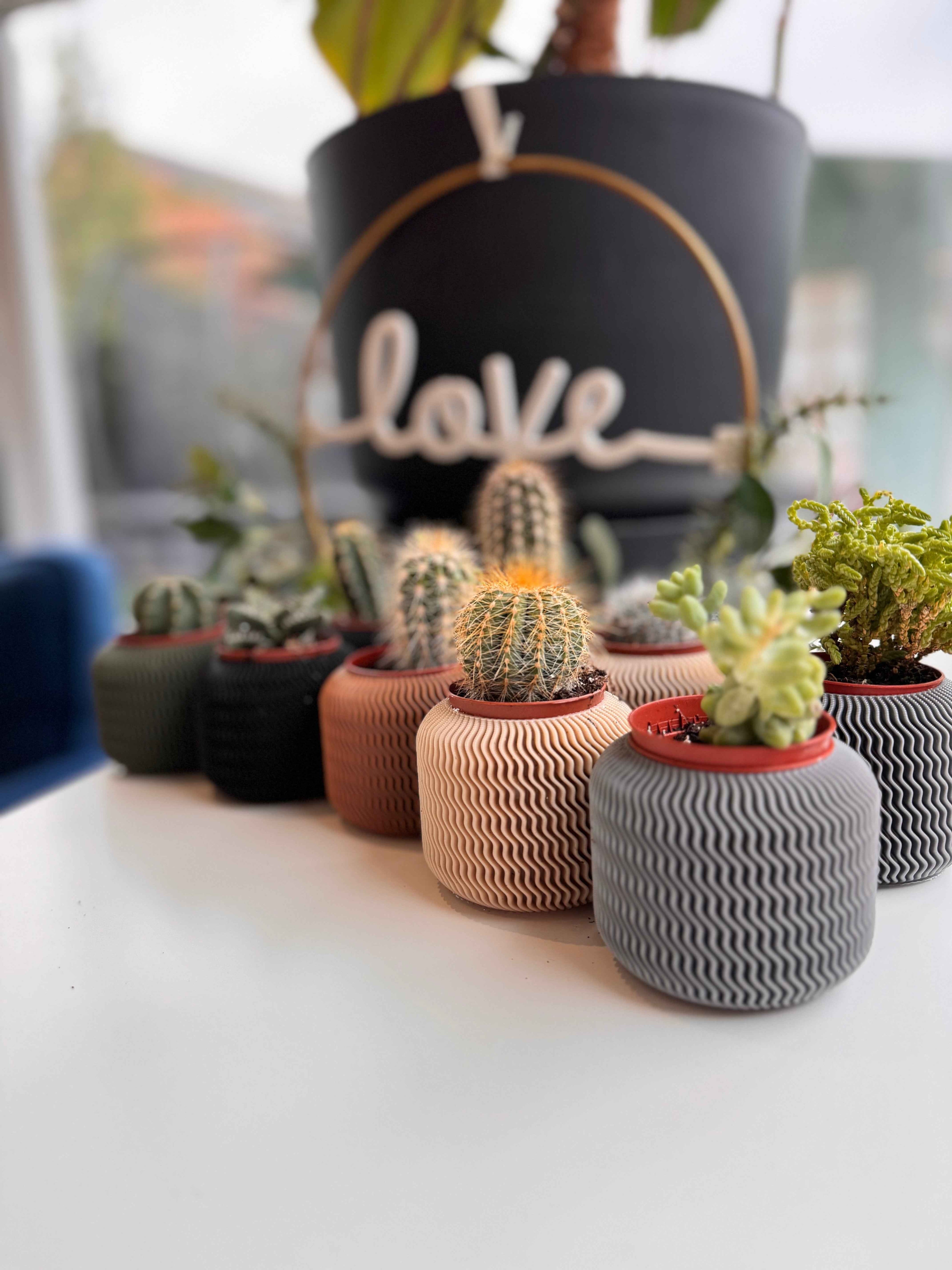 Malibu plant pot