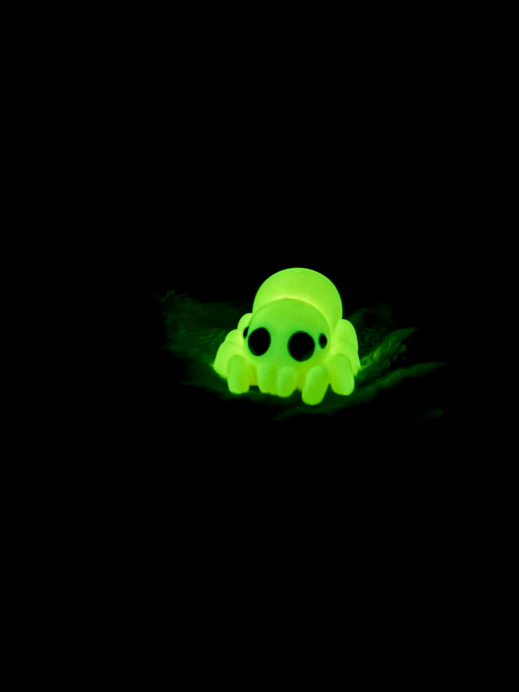 Spider Fidget - Web of cuteness