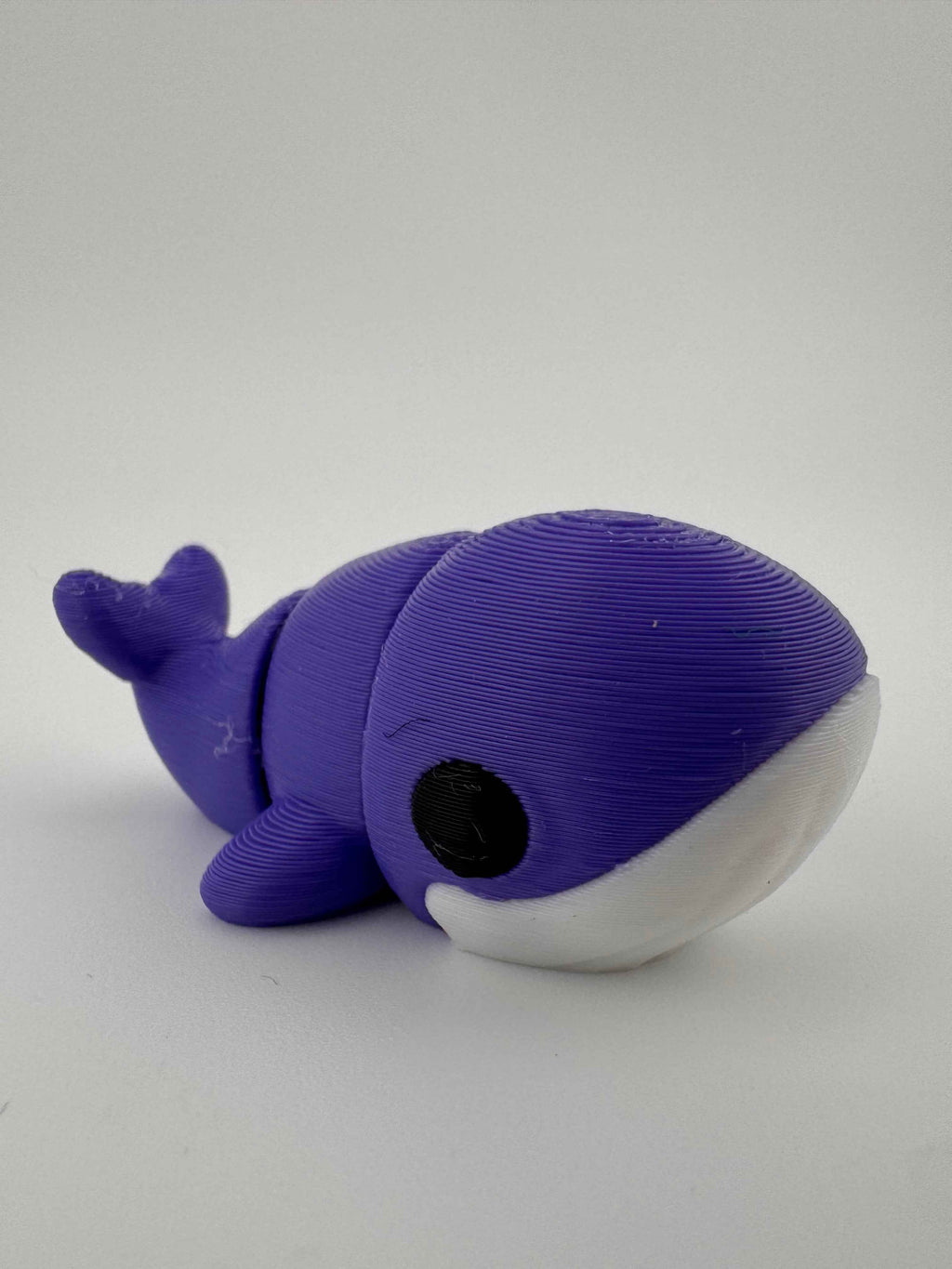 Whale Fidget Toy - Mammals of the sea