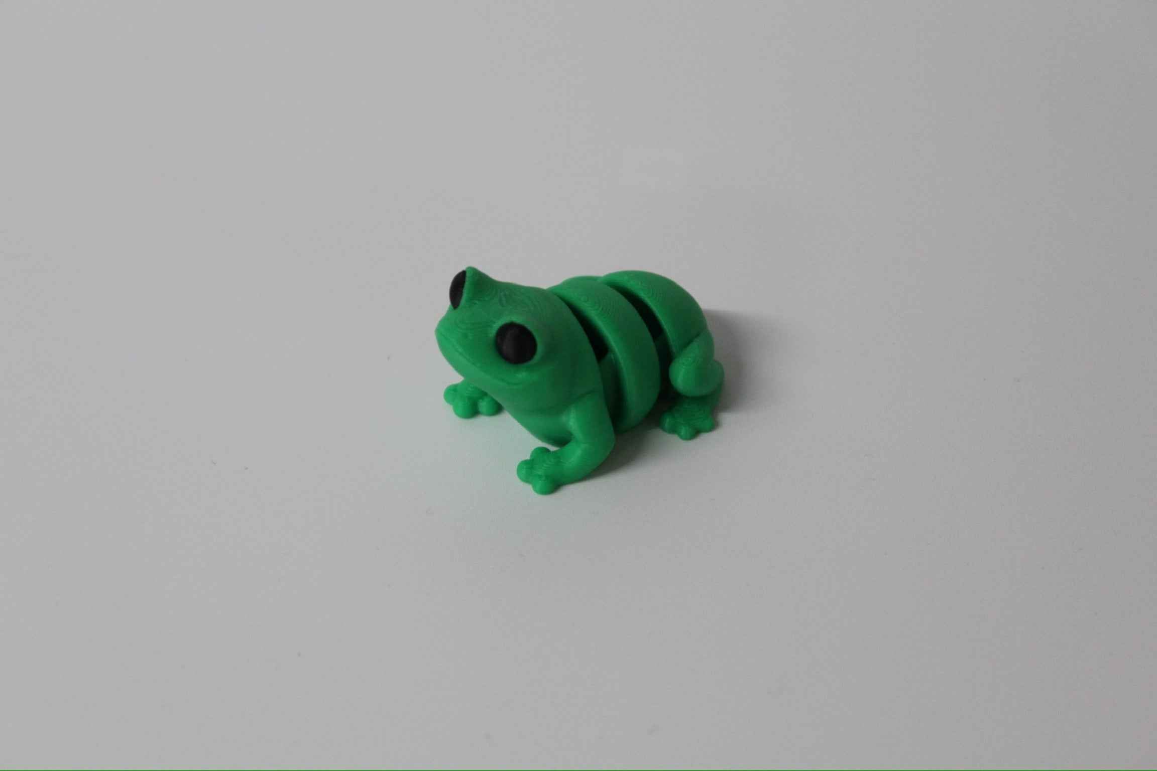 Frog Fidget - Your new pond side pal