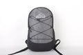 North Peak Ascend Backpack