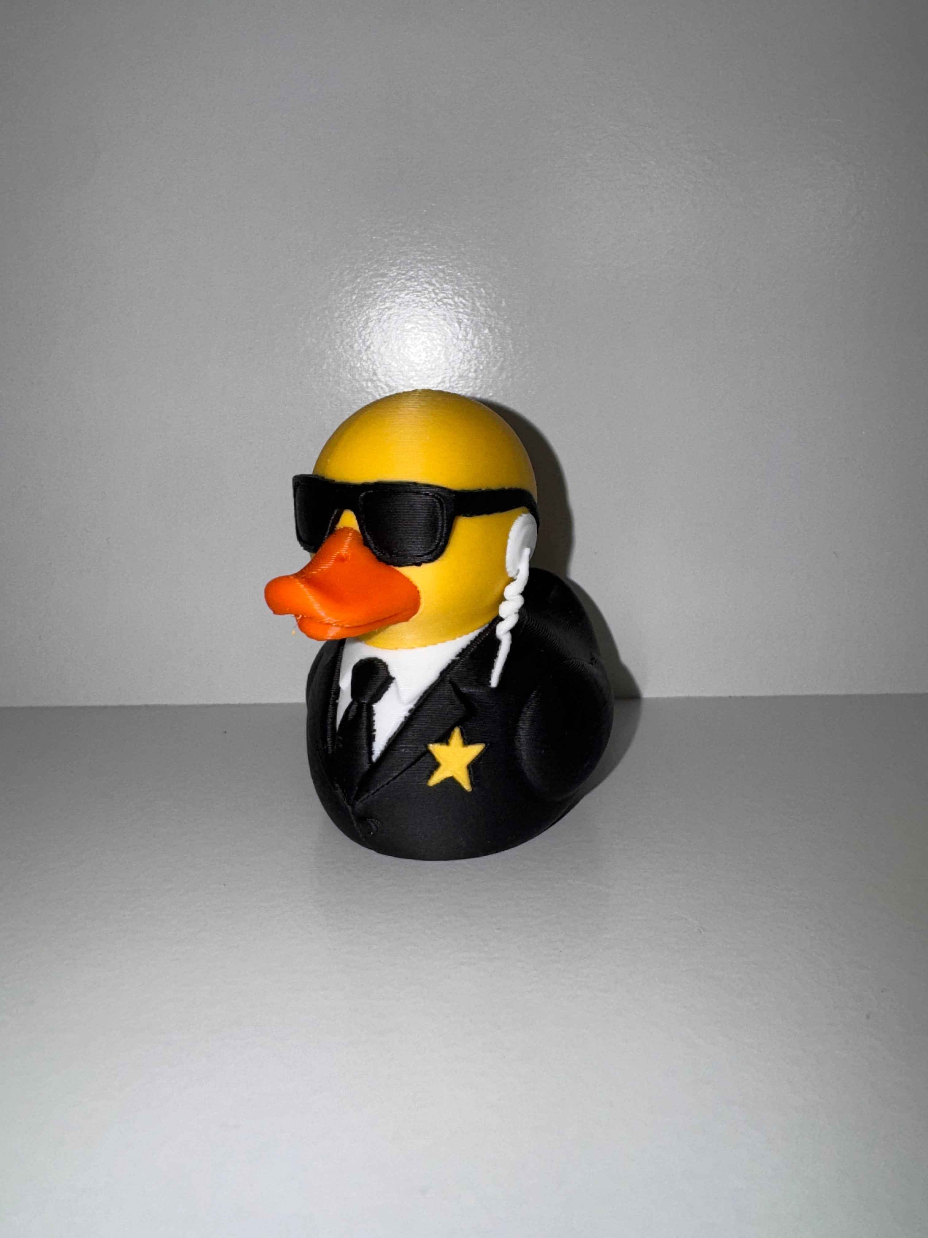 Character Ducks - Keeping a watchful eye