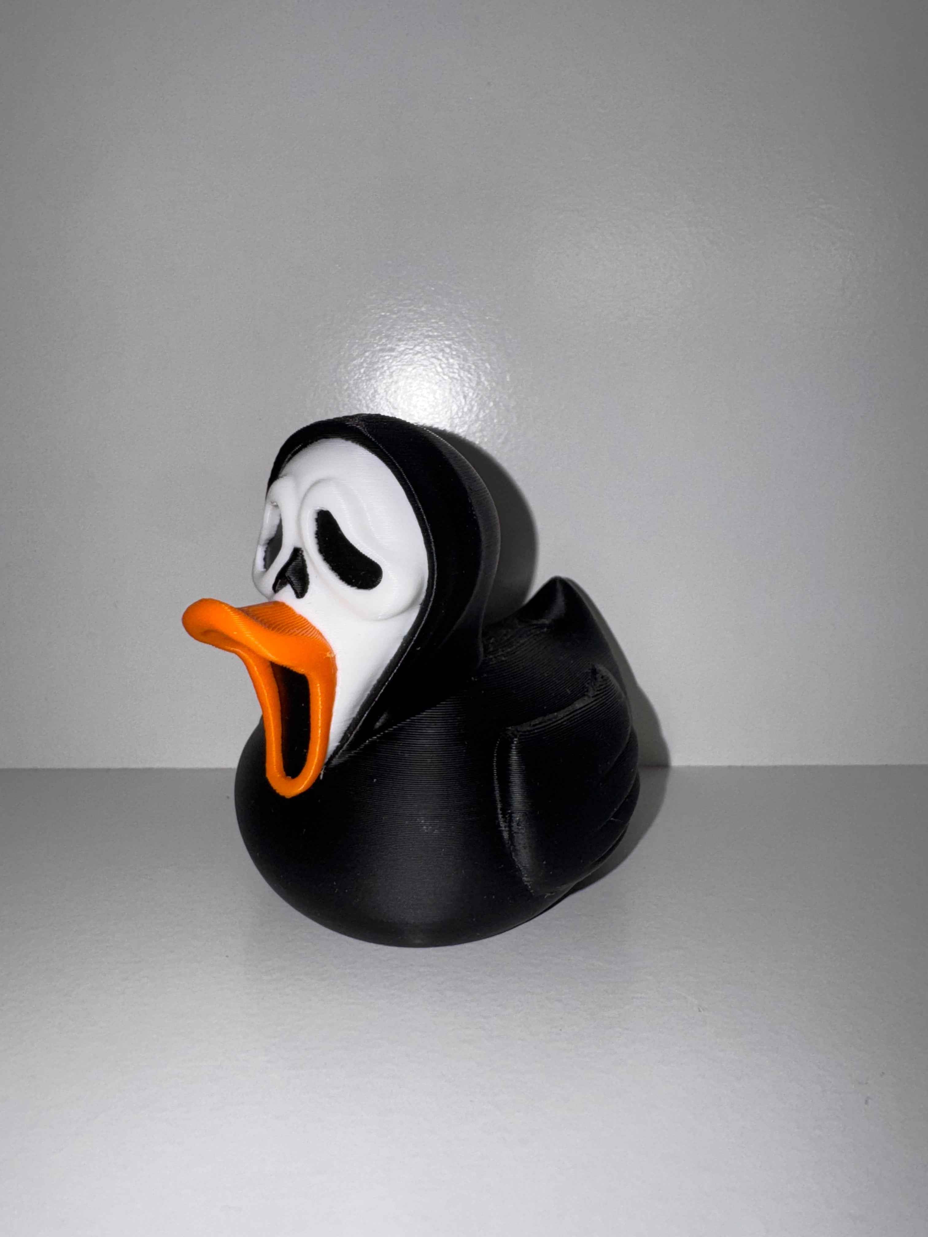 Character Ducks - Keeping a watchful eye